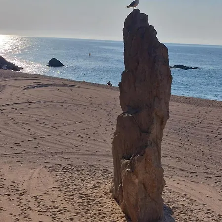 Bravaholidays-202, Centro, Aa, Wifi * Blanes